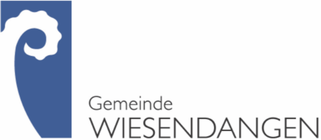 wisi-haustechnik Logo